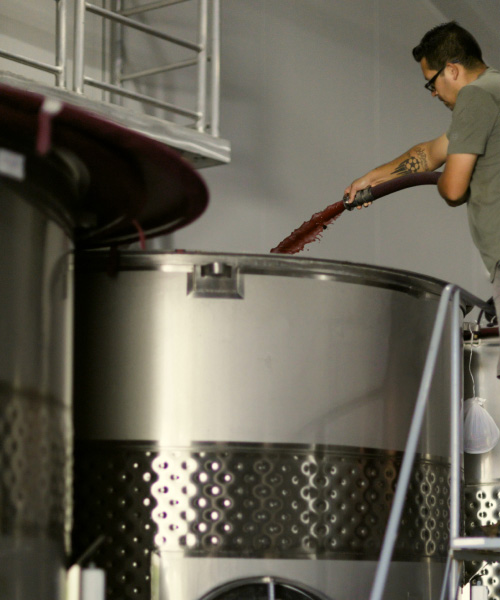 Man filling winery tank